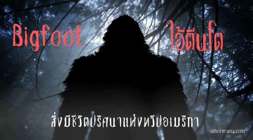 เปิดตำนานไอ้ตีนโต Bigfoot สิ่งมีชีวิตปริศนาแห่งทวีปอเมริกา