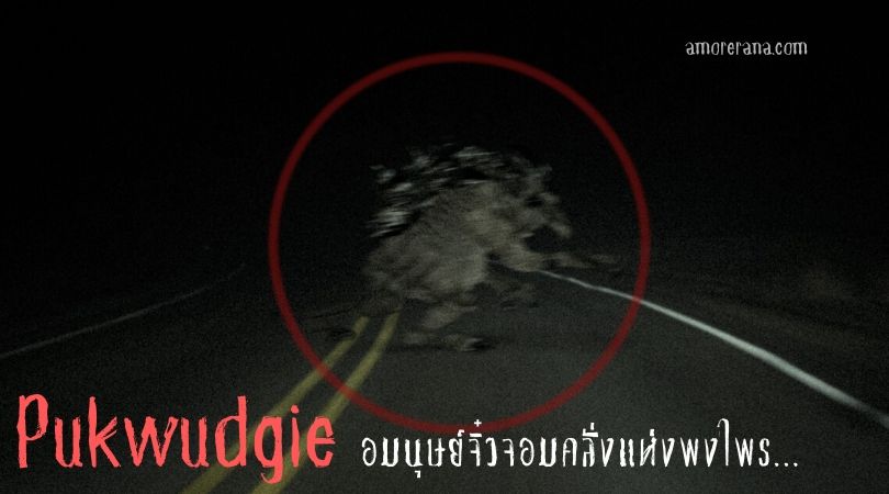Pukwudgie อมนุษย์จิ๋วจอมคลั่งแห่งพงไพร