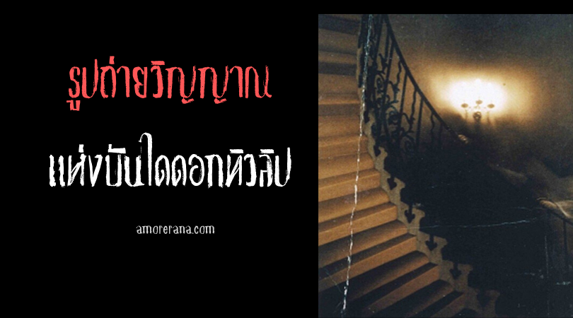 รูปถ่ายวิญญาณแห่งบันไดดอกทิวลิป  