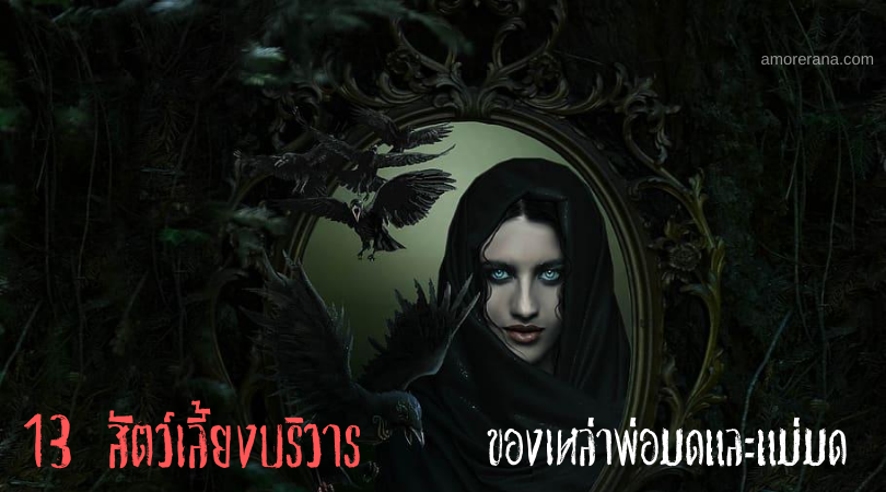 13 สัตว์เลี้ยงบริวารของเหล่าพ่อมดและแม่มด