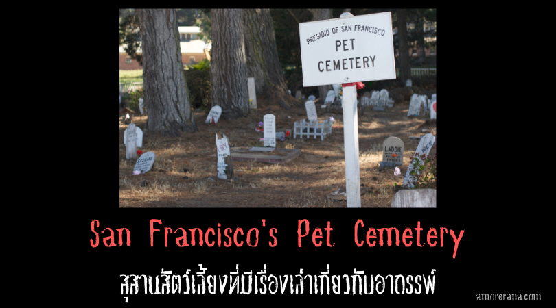 San Francisco's Pet Cemetery สุสานสัตว์เลี้ยงที่มีเรื่องเล่าเกี่ยวกับอาถรรพ์