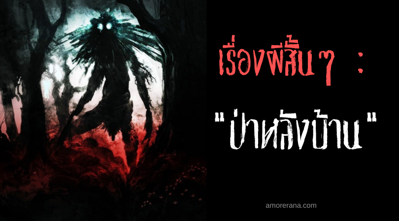 เรื่องผีสั้นๆ “ป่าหลังบ้าน”