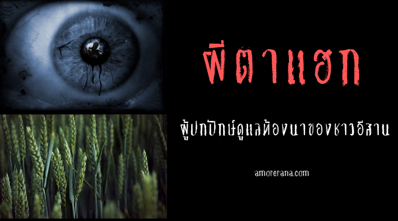 ผีตาแฮก ผู้ปกปักษ์ดูแลท้องนาของชาวอีสาน