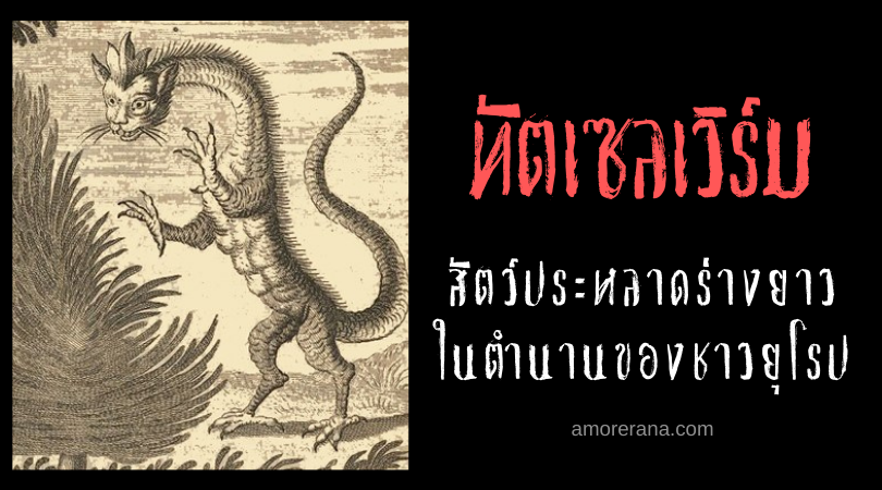 ทัตเซลเวิร์ม (Tatzelwurm) สัตว์ประหลาดร่างยาว ในตำนานของชาวยุโรป