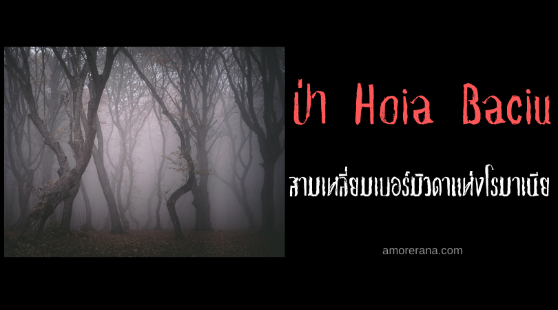 ป่า Hoia Baciu  สามเหลี่ยมเบอร์มิวดาแห่งโรมาเนีย