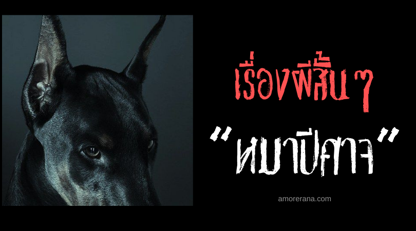 เรื่องผีสั้นๆ “หมาปีศาจ”