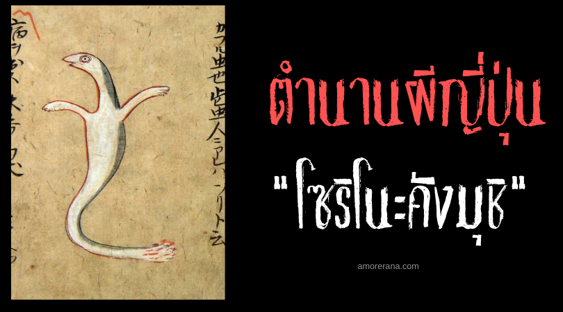 โซริโนะคังมุชิ (Sori no kanmushi) แมลงภูตญี่ปุ่นสิงร่าง เปลี่ยนคนให้ชื่นชอบอาหารรสจัด