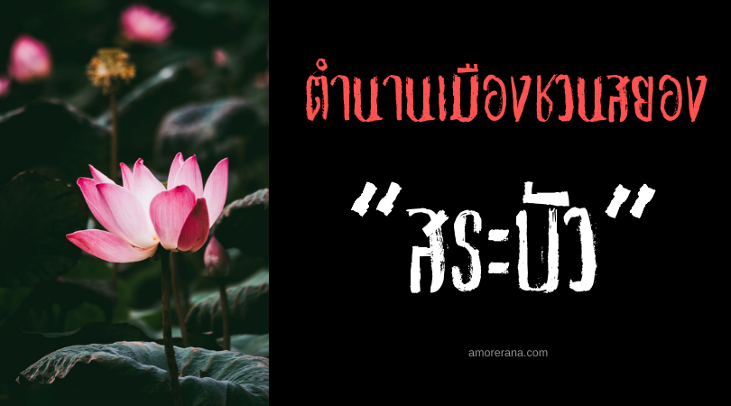  “สระบัว” ตำนานเมืองชวนสยองของประเทศจีน