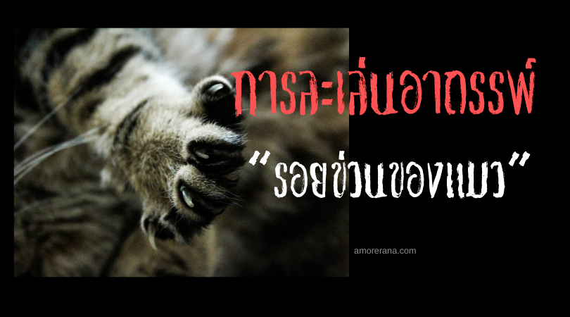“รอยข่วนของแมว” (Cat Scratch) การละเล่นอาถรรพ์ของประเทศสหรัฐอเมริกา