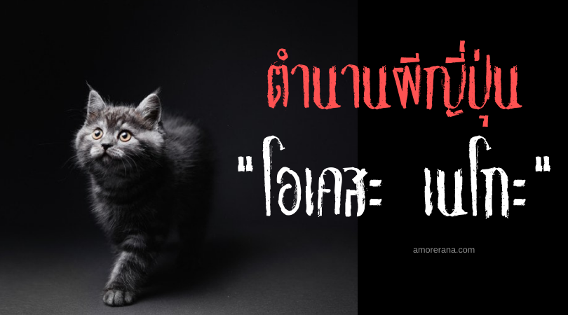 ตำนานผีญี่ปุ่น โอเคสะ เนโกะ (Okesa neko) แมวผีผู้บรรเลงดนตรีตอบแทนคุณ
