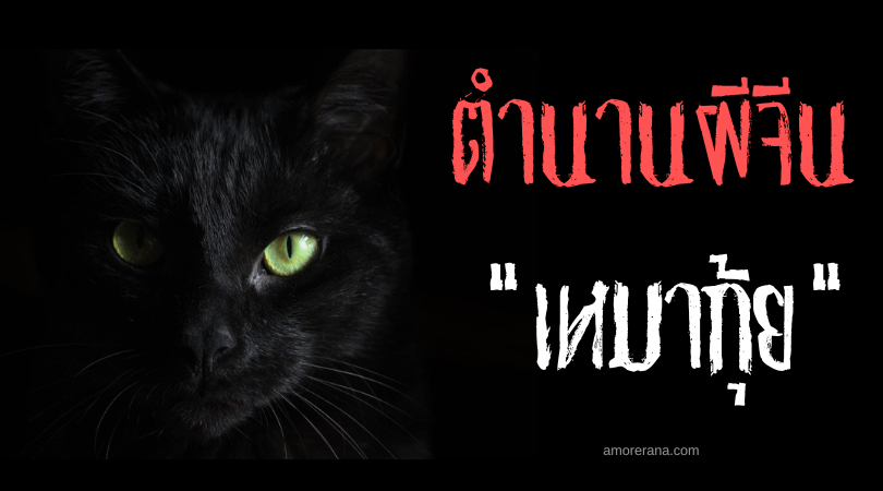 ตำนานผีจีน “เหมากุ้ย” (Mao Gui) แมวผีชรา