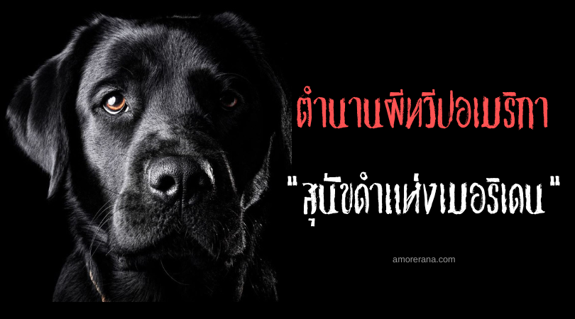 ตำนานผีอเมริกา สุนัขดำแห่งเมอริเดน (The Black Dog of Meriden) ผู้นำพาความสุขและความตาย