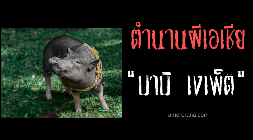 บาบิ เงเพ็ต (Babi Ngepet) ปีศาจหมูป่าแห่งความร่ำรวย ประเทศอินโดนีเซีย