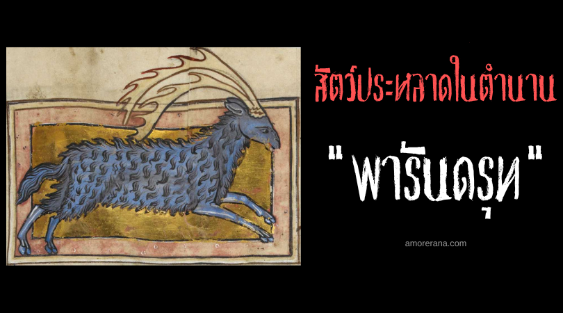 พารันดรุท (Parandrus) สัตว์วิเศษเปลี่ยนสีขนพรางตัวแห่งทวีปยุโรป