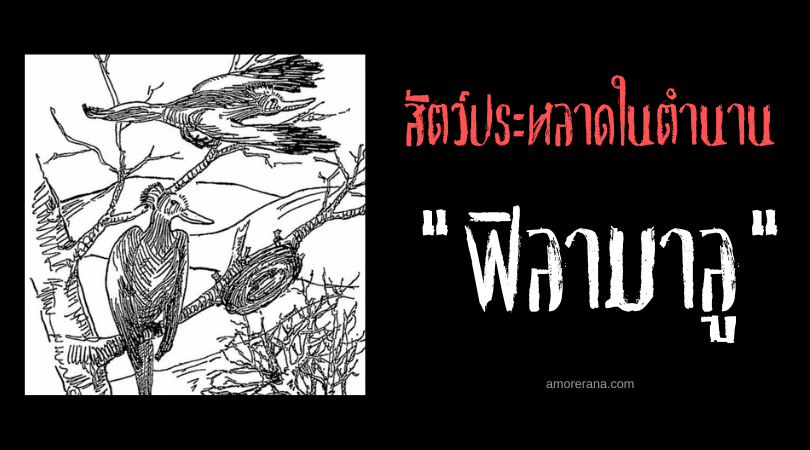 ฟิลามาลู (Filla-Ma-Loo) นกโง่เขลา ในตำนานของประเทศสหรัฐอเมริกา