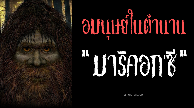 มาริคอกซี (Maricoxi) ครึ่งมนุษย์ขนดกแสนดุร้าย ประเทศบราซิล