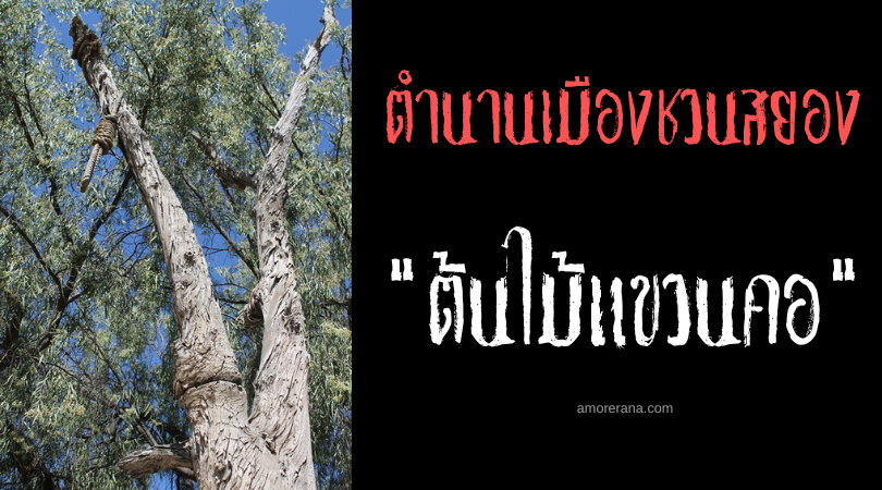 ต้นไม้แขวน (The Hanging Tree) ตำนานเมืองชวนสยอง ประเทศสหรัฐอเมริกา