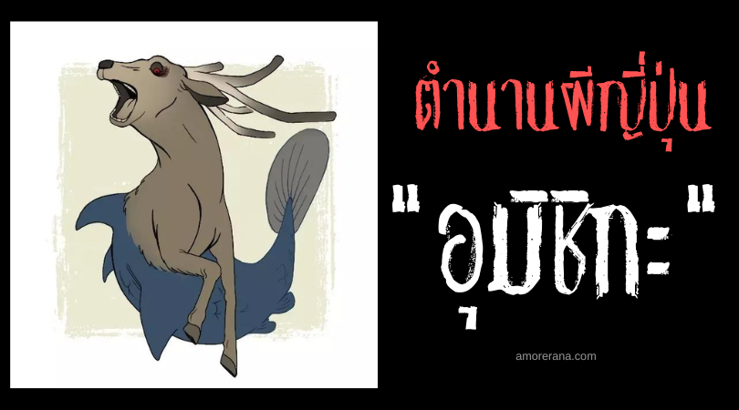 ตำนานผีญี่ปุ่น อุมิชิกะ (Umishika) กวางทะเล