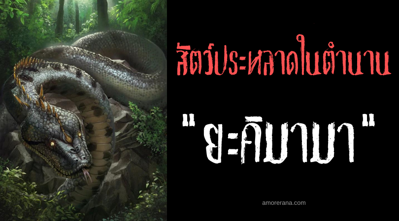 ยะคิมามา (Yacumama) มารดาอสรพิษผู้ยิ่งใหญ่ แห่งทวีปอเมริกาใต้