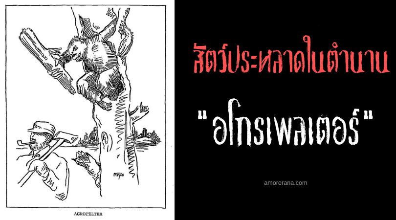 อโกรเพลเตอร์ (Agropelter) ลิงแขนแส้ สัตว์ประหลาดในตำนานของสหรัฐอเมริกา