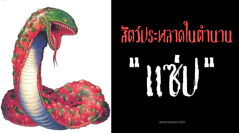 แซ่ป (Seps) งูพิษตัวเล็กผู้กินเหยื่อไม่เหลือแม้แต่กระดูก ทวีปยุโรปยุคกลาง