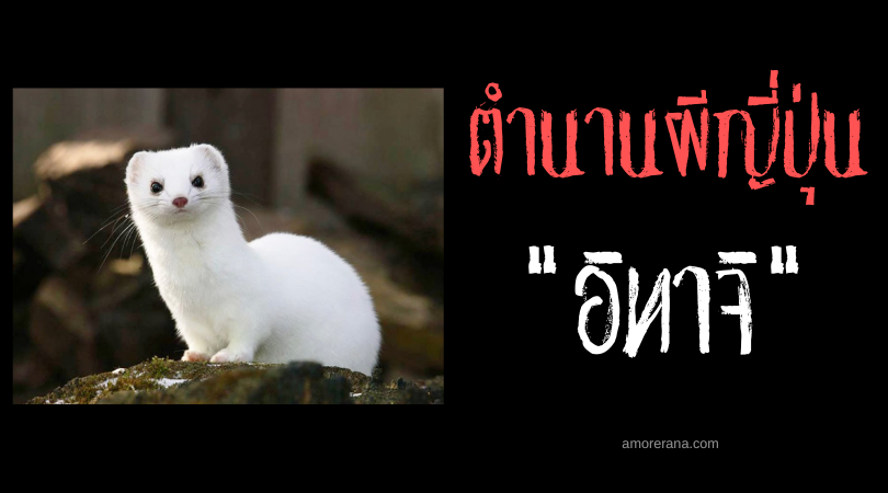 อิทาจิ (Itachi) สัตว์ภูตแห่งความโชคร้าย นำพาความสิ้นหวังของประเทศญี่ปุ่น
