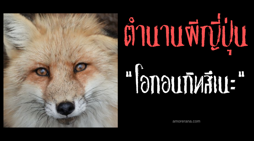 โอกอนกิทสึเนะ (Okon gitsune) ภูตจิ้งจอกจอมลวงมนุษย์ให้โกนศีรษะ แห่งประเทศญี่ปุ่น