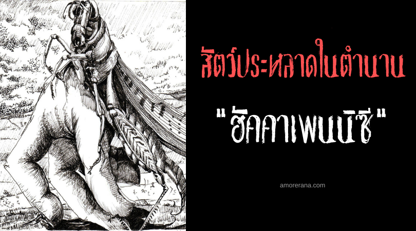 ฮัคคาเพนนิซี (Haakapainiži) ตั๊กแตนยักษ์ลักพาตัวเด็ก ประเทศสหรัฐอเมริกา