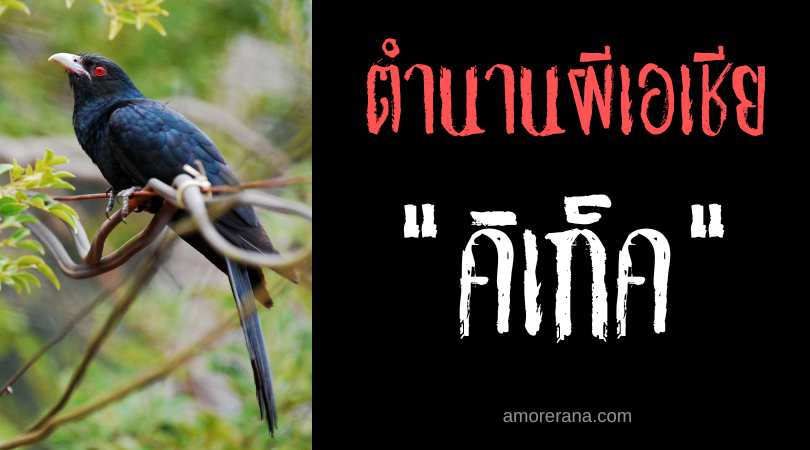 คิเก็ค (Kikik) นกต้องสาป ประเทศฟิลิปปินส์