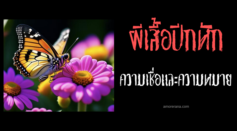 [ผีเสื้อปีกหัก] ความเชื่อ สัญลักษณ์และความหมายทางจิตวิญญาณ