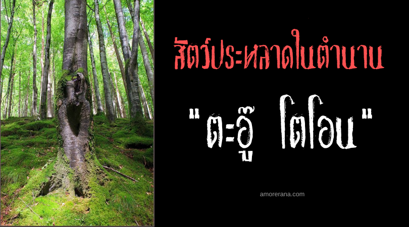 “ตะอู๊ โตโอน” (Taong Tuod) ต้นไม้จอมสังหาร ประเทศฟิลิปปินส์