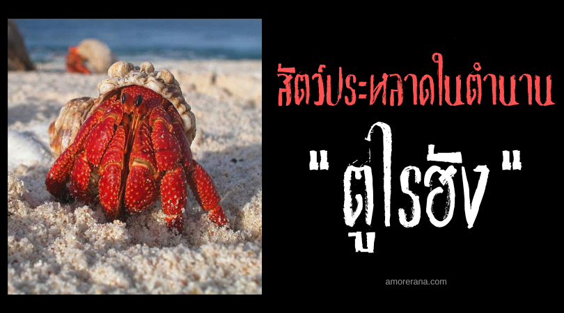 ตูไรฮัง (Tulayhang) ปูเสฉวนแห่งความเจ็บป่วย ประเทศฟิลิปปินส์