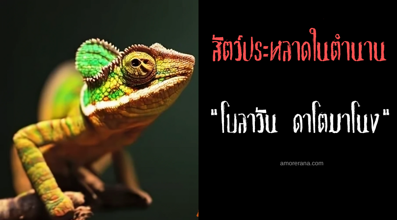 โบลาวัน ดาโตมาโนง (Bolawan datomanong) กิ้งก่าทองสองหัวผู้ทำนายอนาคต ประเทศฟิลิปปินส์