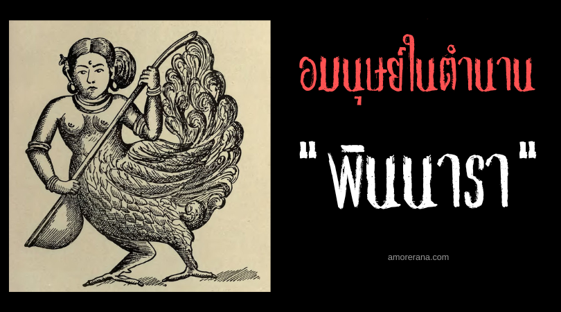 พินนารา (Kinnara) อมนุษย์ครึ่งนกผู้ภักดีต่อความรัก ประเทศฟิลิปปินส์