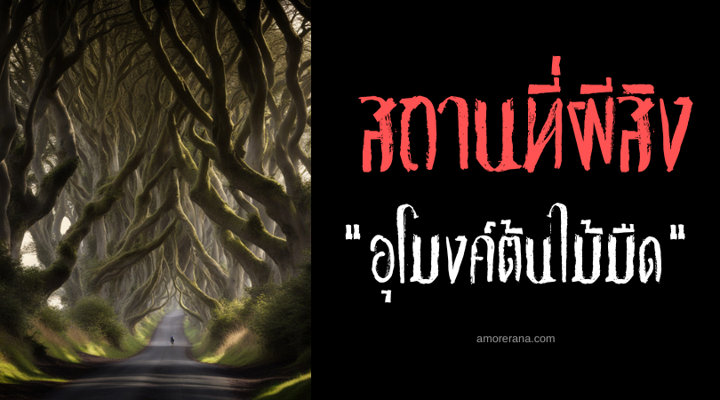ตำนานผู้หญิงสีเทาแห่งอุโมงค์ต้นไม้มืด (Dark Hedges) ประเทศไอร์แลนด์เหนือ