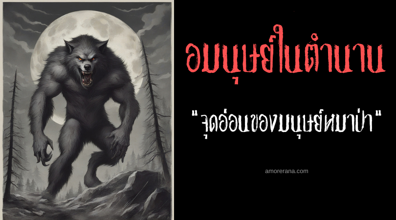 จุดอ่อน การขับไล่และสังหารมนุษย์หมาป่า