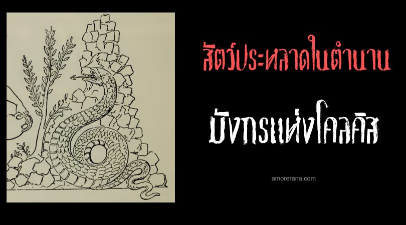 มังกรแห่งโคลคิส (Dragon of Colchis) ผู้ไม่เคยหลับ ตำนานเทพเจ้ากรีก