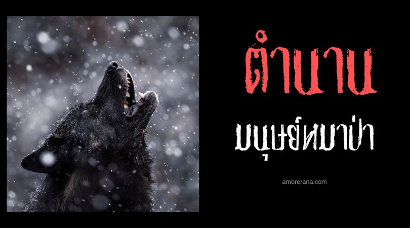 มนุษย์หมาป่ามีหางหรือไม่?