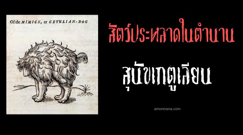 สุนัขเกตูเลียน (Getulian Dog) สี่ขาแสนรู้ ทวีปแอฟริกา