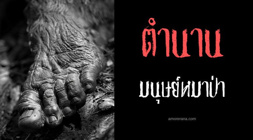อุ้งเท้าและกรงเล็บของมนุษย์หมาป่า