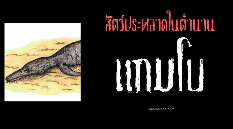 แกมโบ (Gambo) ซากสัตว์ประหลาดแห่งท้องทะเล ประเทศแกมเบีย