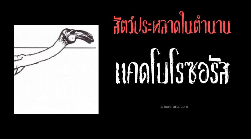 แคดโบโรซอรัส (Cadborosaurus) สัตว์ประหลาดปริศนาแห่งชายฝั่งแปซิฟิก ประเทศสหรัฐอเมริกา
