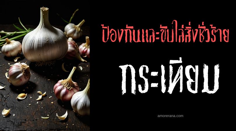 กระเทียม สมุนไพรขับไล่สิ่งชั่วร้าย