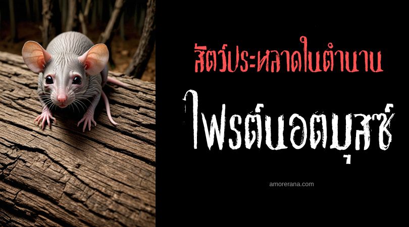 ไฟรต์นอตมุสซ์ (Flæðarmús) หนูน้ำ ประเทศไอร์แลนด์
