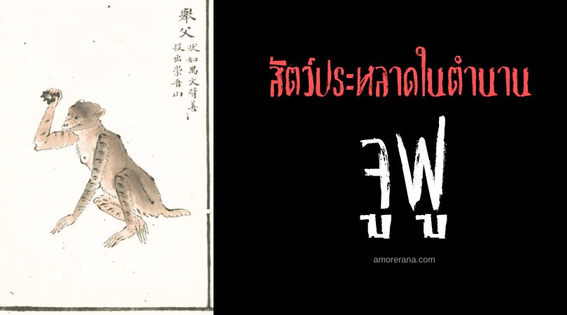 จูฟู (Ju Fu) ลิงลายเสือ ประเทศจีน