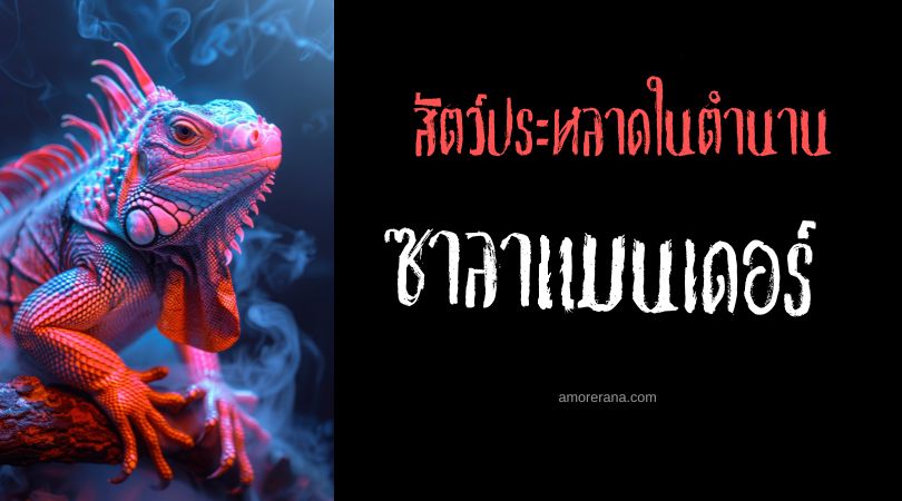ซาลาแมนเดอร์ (Salamander) กิ้งก่าเปลวเพลิง ทวีปยุโรป