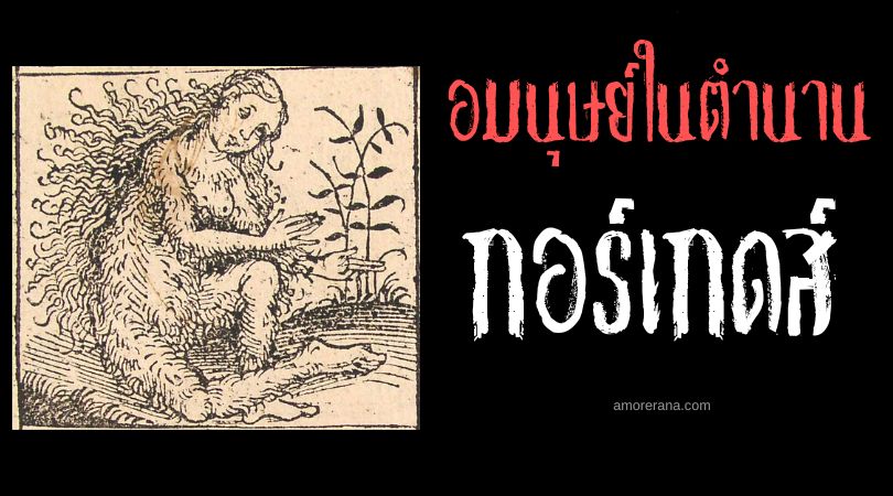 กอร์เกดส์ (Gorgades) อมนุษย์สุดแสนก้าวร้าว ทวีปแอฟริกา
