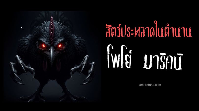 โพโย่ มาริคนิ (Pollo Maligno) ไก่ยักษ์ดุร้าย ประเทศโคลอมเบีย