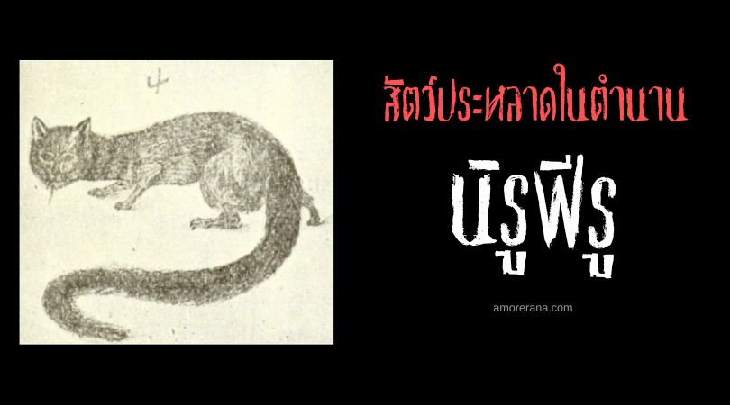 นิรูฟีรู (Nguruvilu) จิ้งจอกอสรพิษ ประเทศชิลี