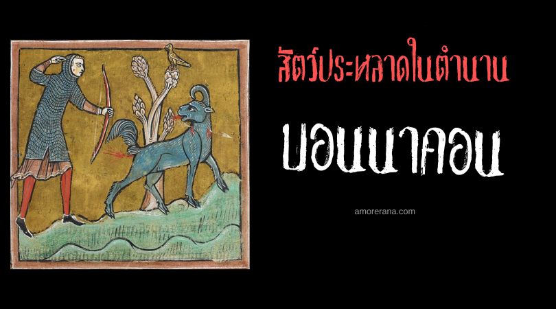 บอนนาคอน (Bonnacon) กระทิงอุจจาระเพลิง ตำนานยุโรปยุคกลาง